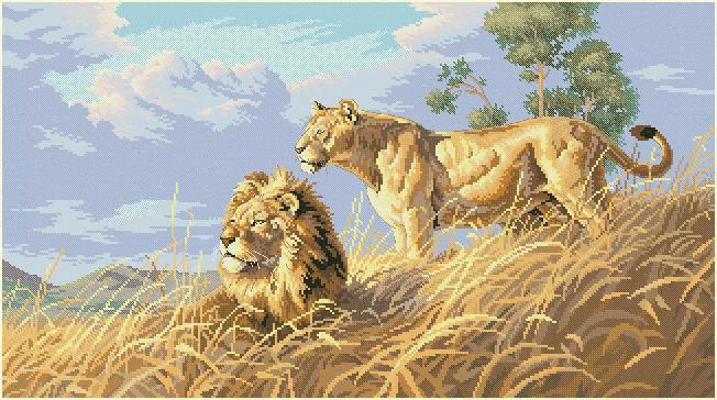 Dimensions03866-African_Lions