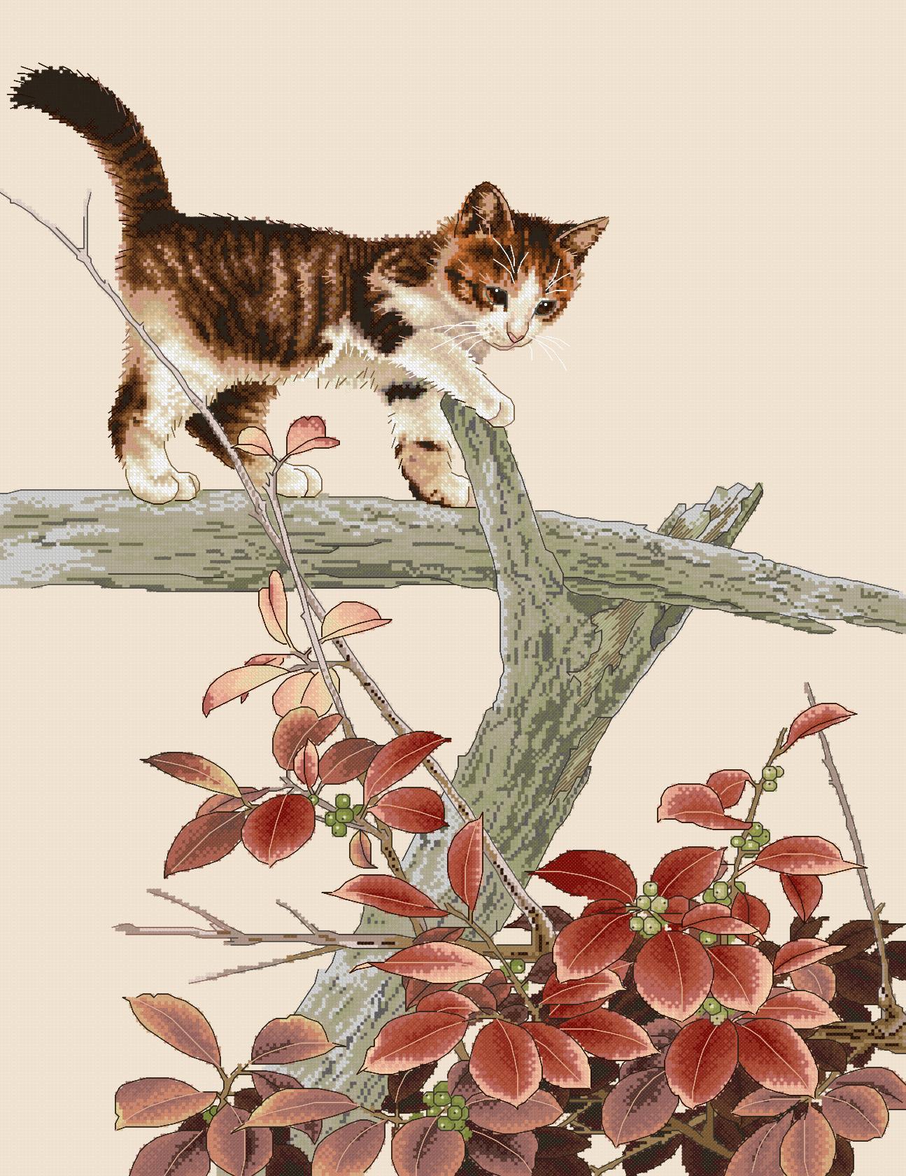 https://dayunoa.oss-cn-beijing.aliyuncs.com/xiuerweb/patterns/猫/小猫戏秋.jpeg