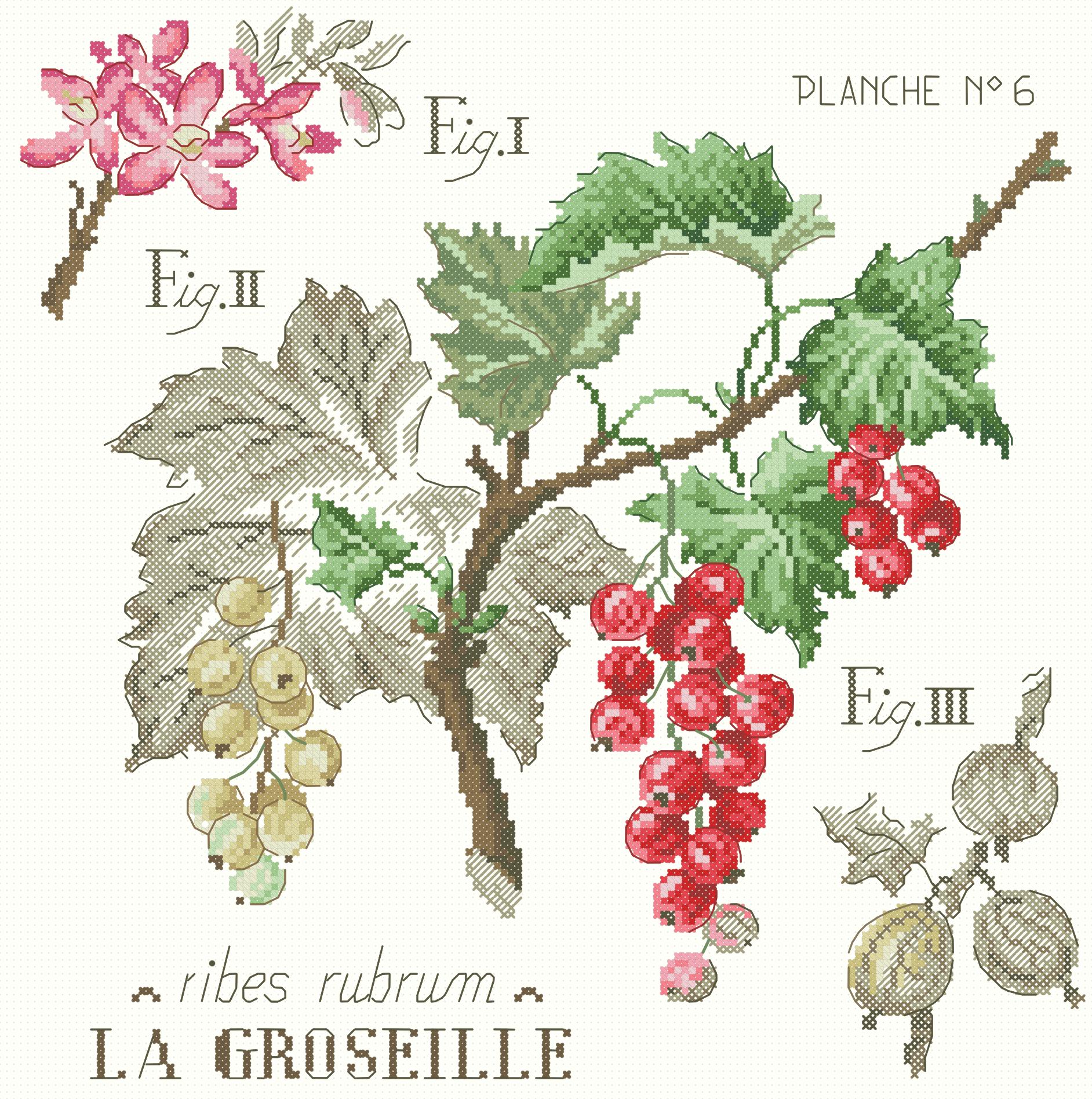 https://dayunoa.oss-cn-beijing.aliyuncs.com/xiuerweb/patterns/花草/EtudeauxGroseilles.jpeg