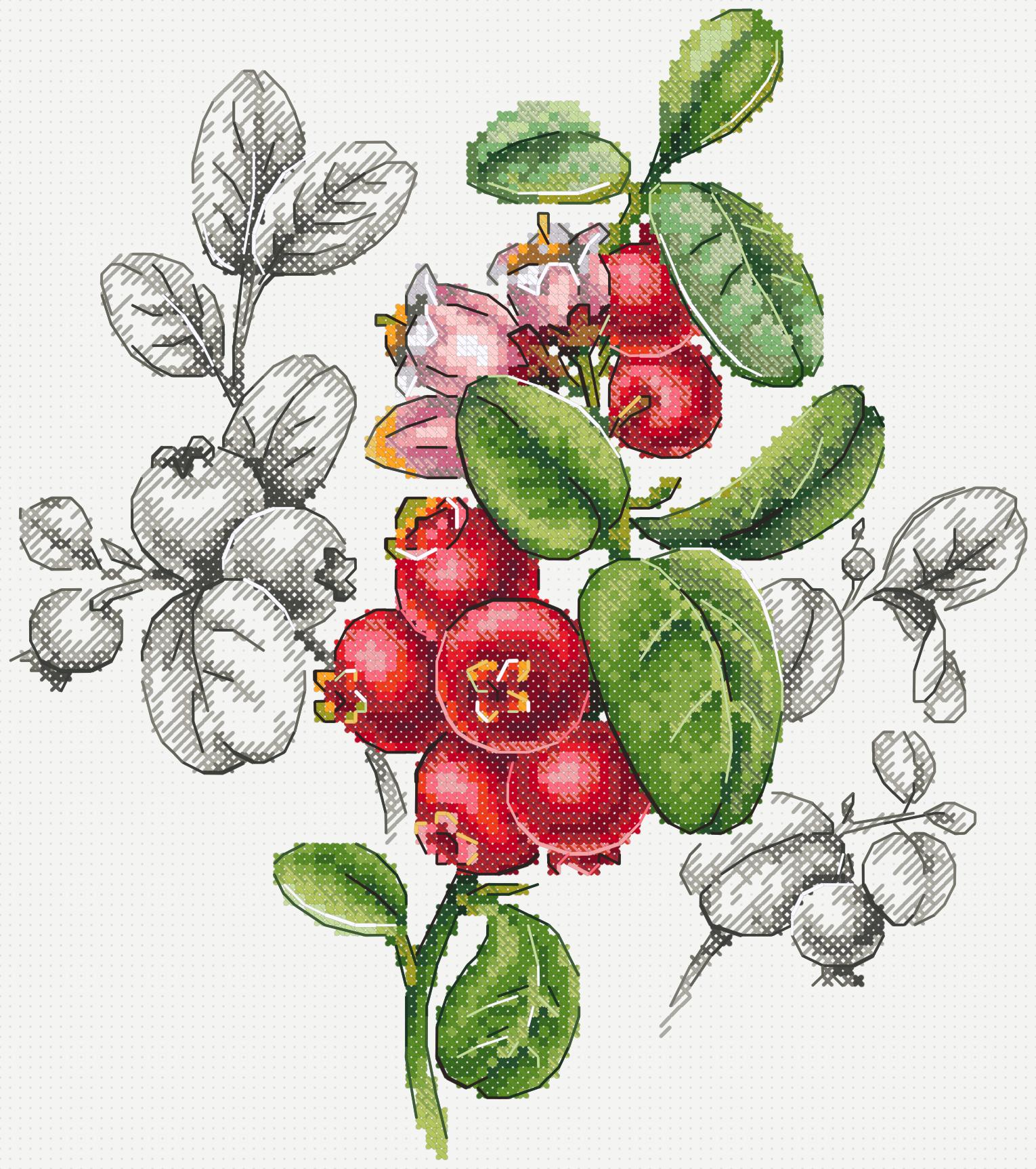 https://dayunoa.oss-cn-beijing.aliyuncs.com/xiuerweb/patterns/花草/一束红浆果.jpeg