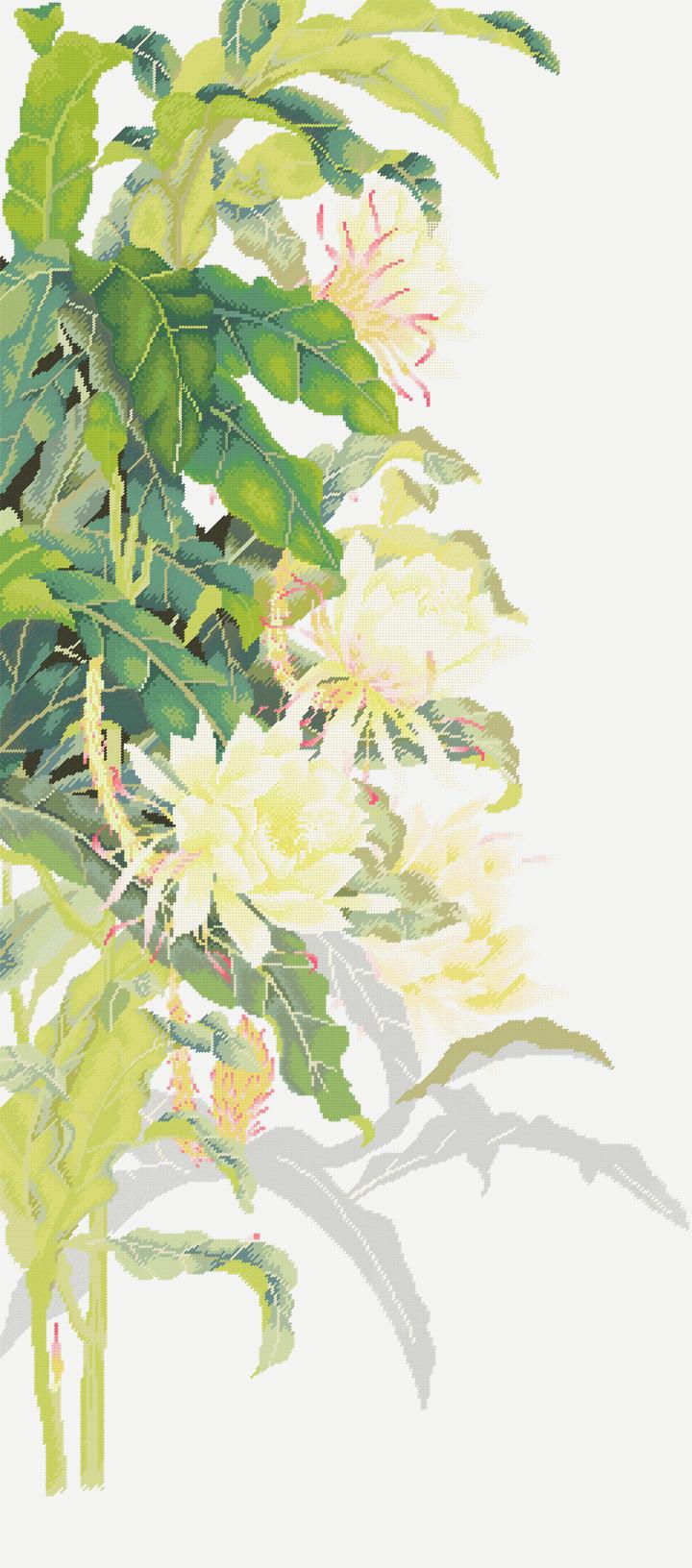 https://dayunoa.oss-cn-beijing.aliyuncs.com/xiuerweb/patterns/花草/昙花.jpeg
