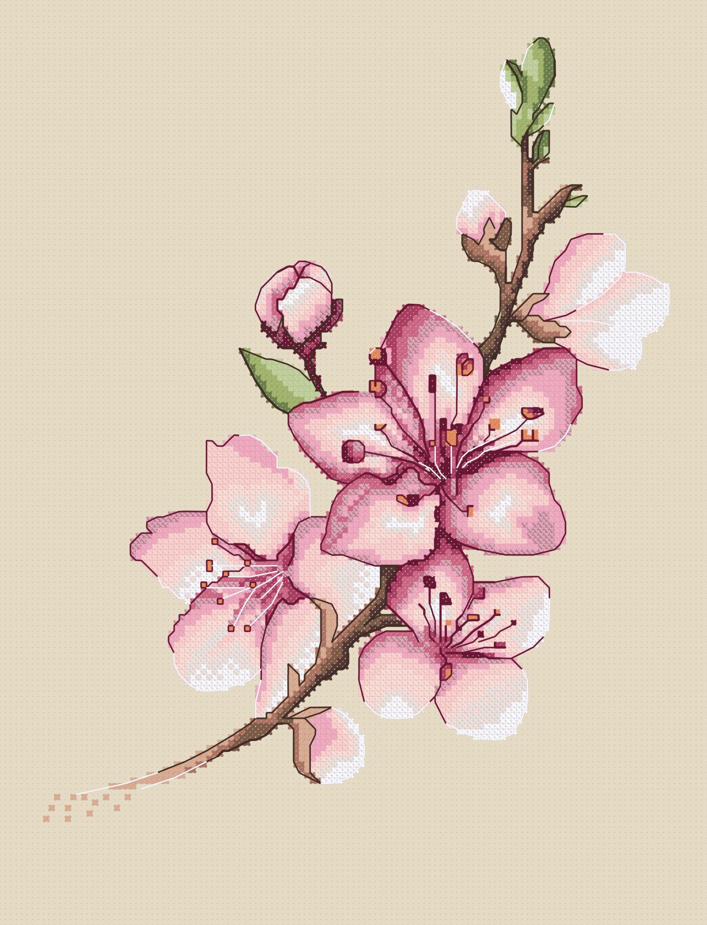 https://dayunoa.oss-cn-beijing.aliyuncs.com/xiuerweb/patterns/花草/桃花.jpeg