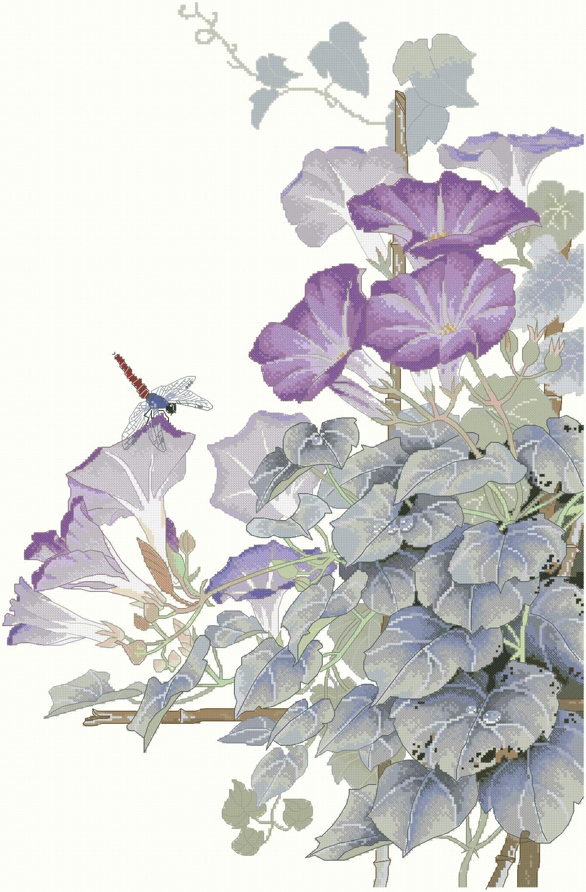 https://dayunoa.oss-cn-beijing.aliyuncs.com/xiuerweb/patterns/花草/牵牛花.jpeg