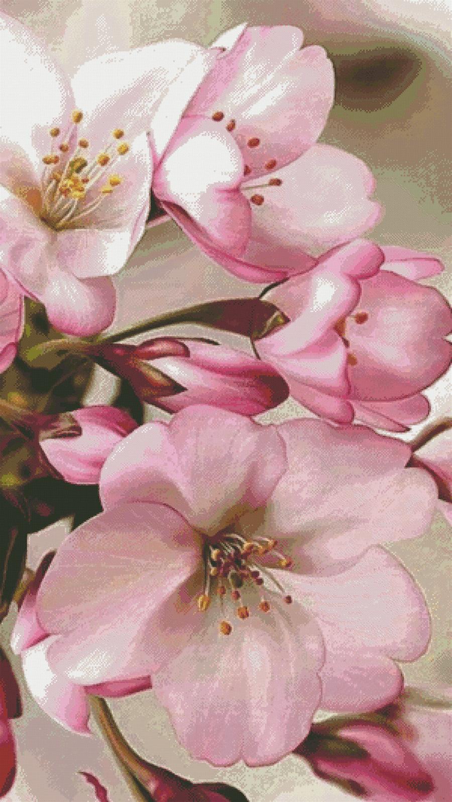 https://dayunoa.oss-cn-beijing.aliyuncs.com/xiuerweb/patterns/花草/花.jpeg