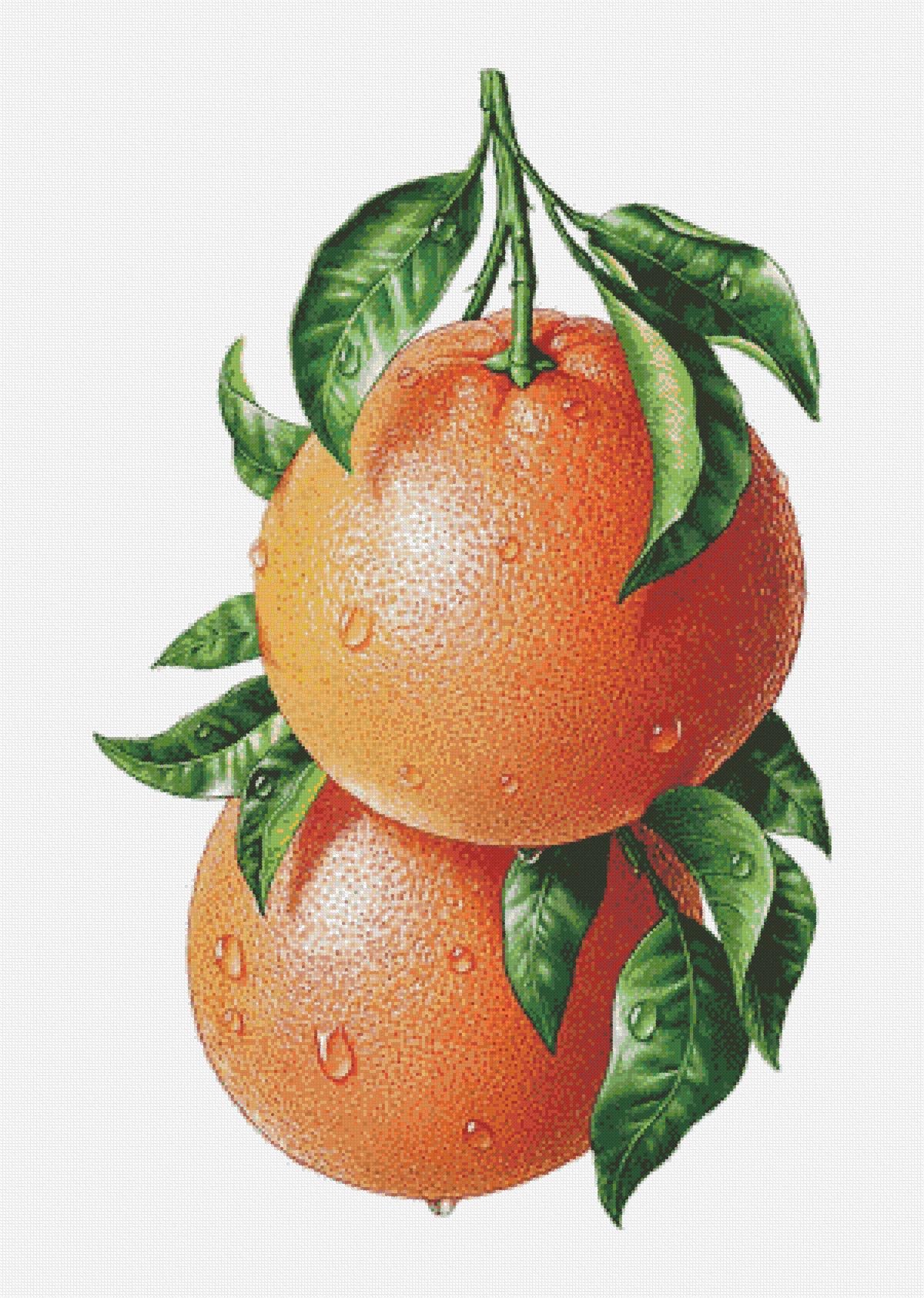 https://dayunoa.oss-cn-beijing.aliyuncs.com/xiuerweb/patterns/食物/橙子.jpeg