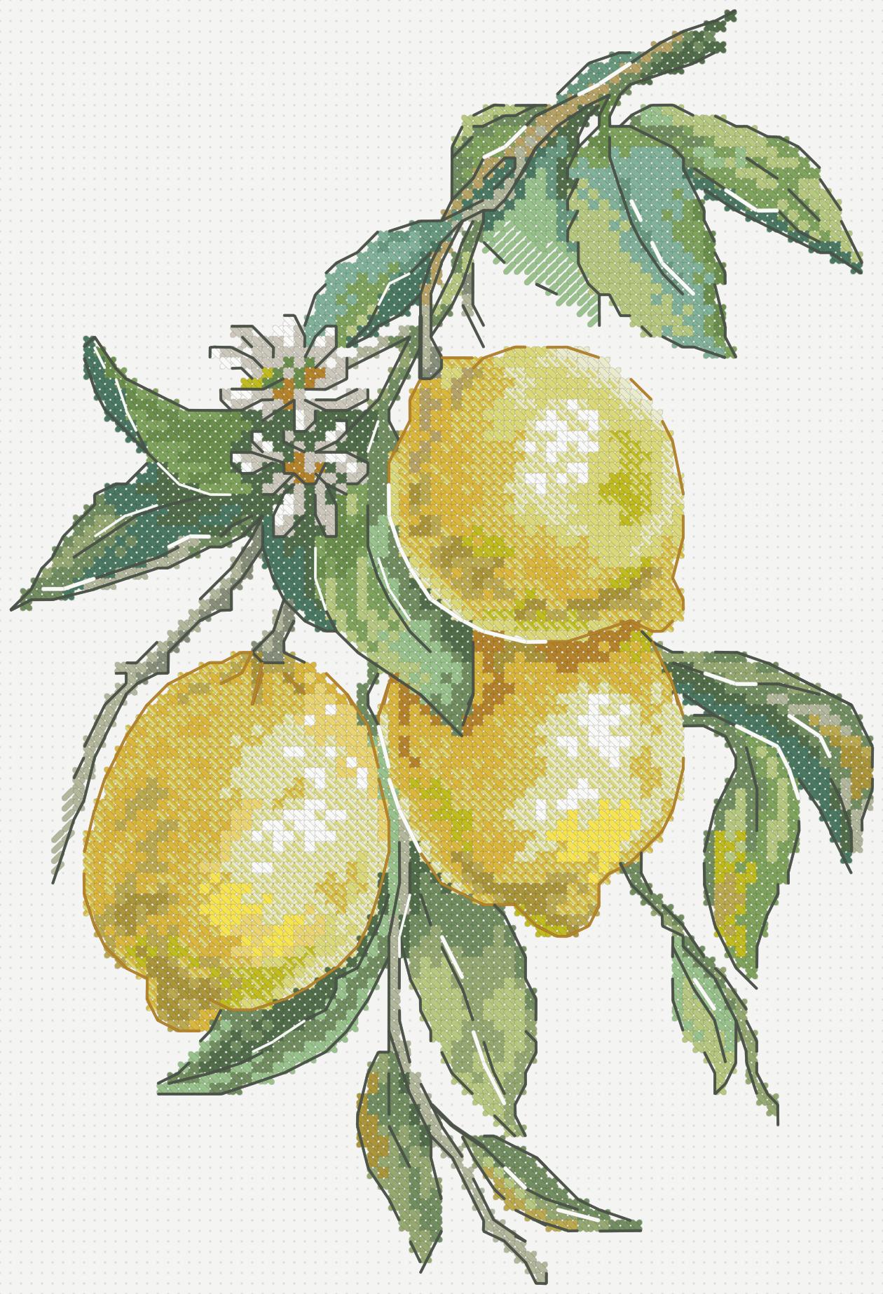 https://dayunoa.oss-cn-beijing.aliyuncs.com/xiuerweb/patterns/食物/水果系列-柠檬.jpeg