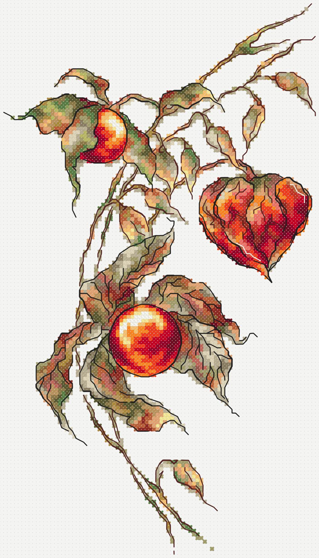 https://dayunoa.oss-cn-beijing.aliyuncs.com/xiuerweb/patterns/食物/灯笼果2024-3-2716681.jpeg