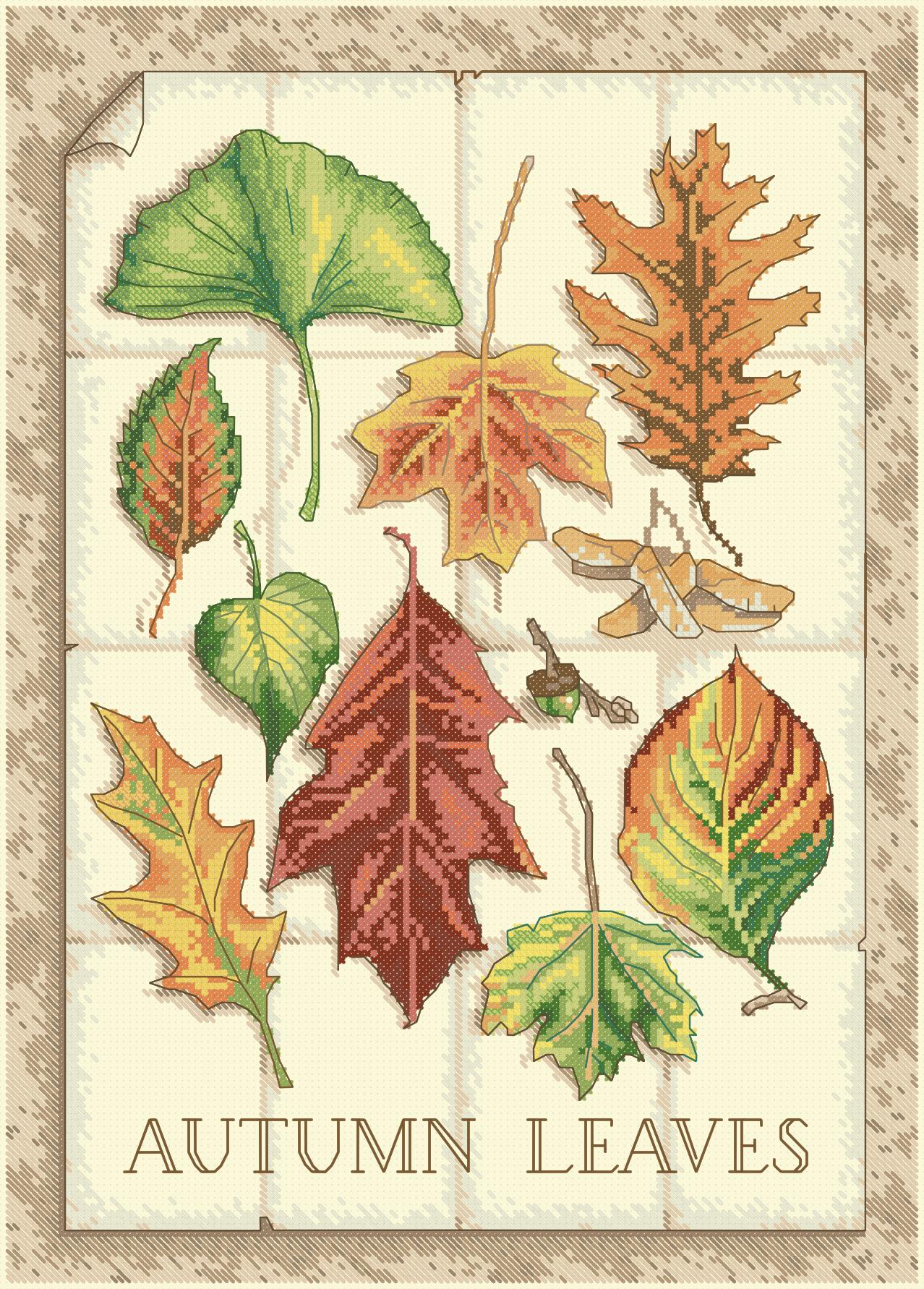 https://dayunoa.oss-cn-beijing.aliyuncs.com/所有图纸/DIM/Dimensions35014-Leaves_of_Autumn.jpeg