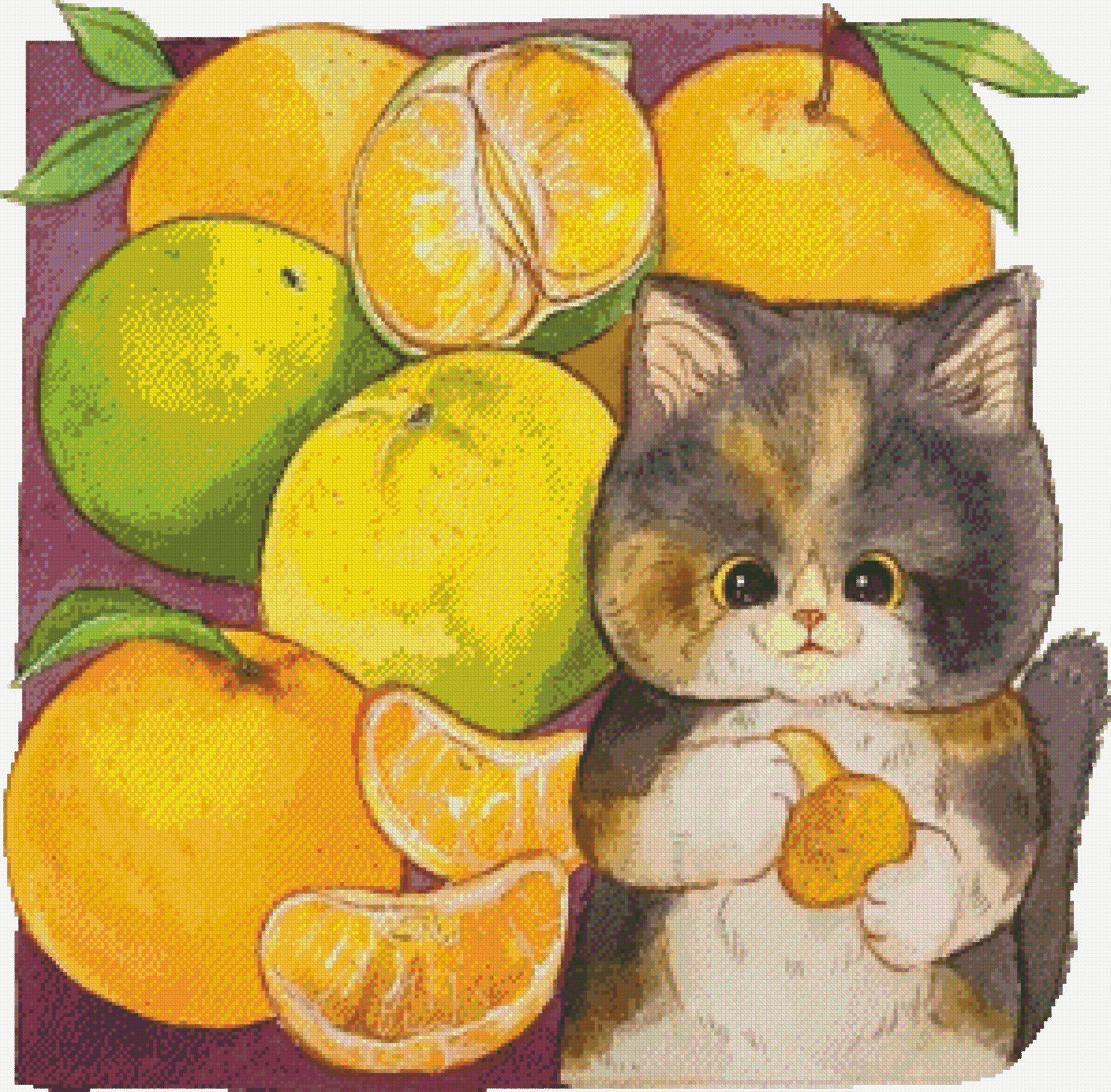 https://dayunoa.oss-cn-beijing.aliyuncs.com/所有图纸/猫猫图/桔子小猫.jpeg
