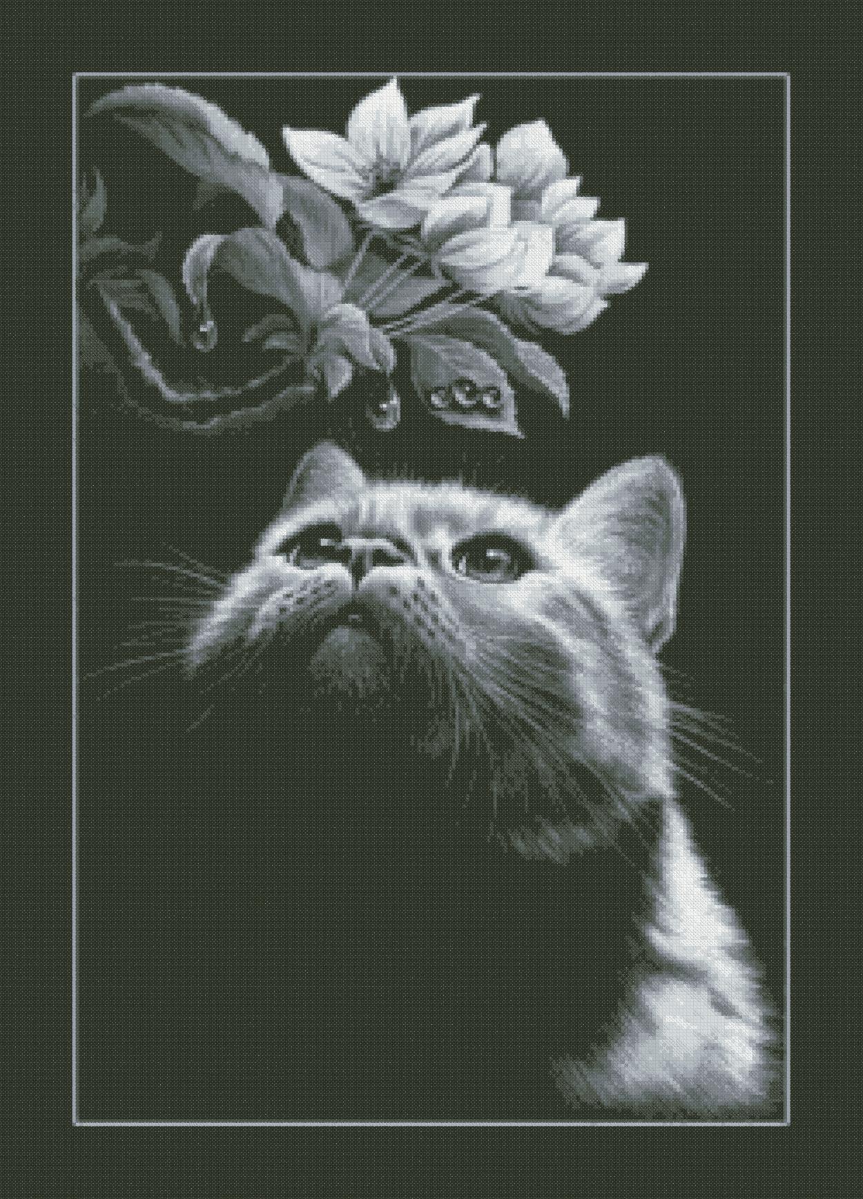 https://dayunoa.oss-cn-beijing.aliyuncs.com/所有图纸/猫猫图/黑布猫看花.jpeg