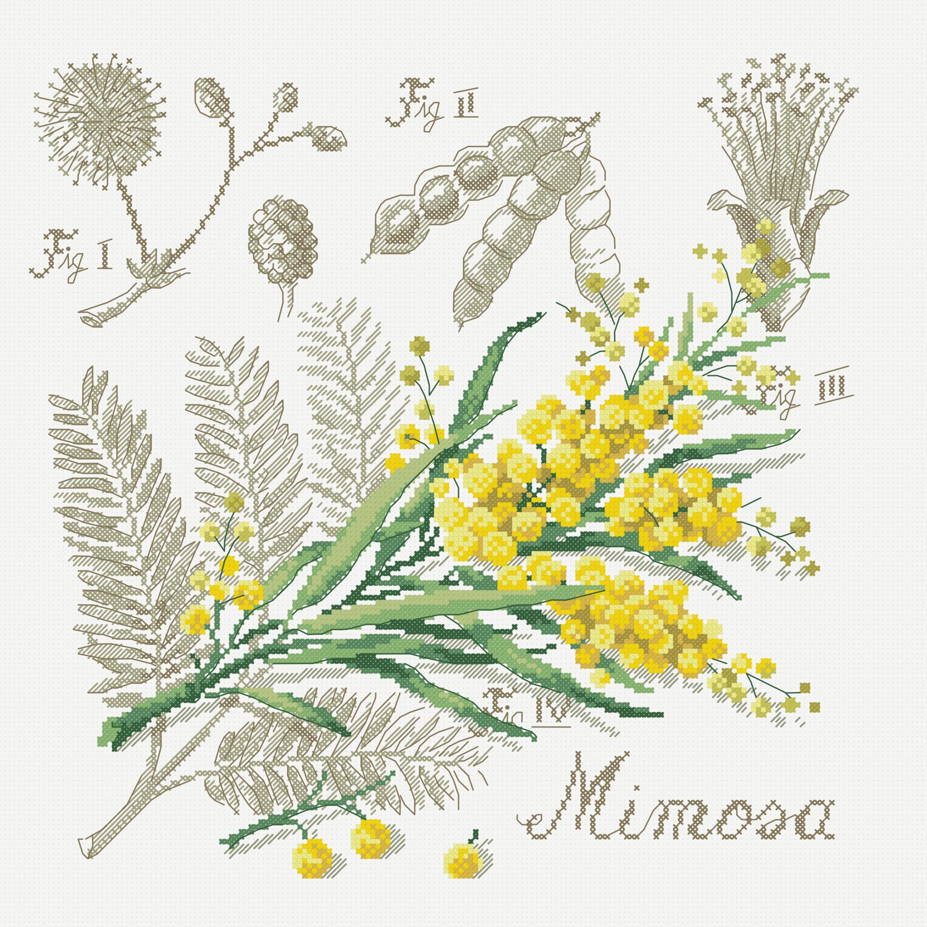 https://dayunoa.oss-cn-beijing.aliyuncs.com/所有图纸/花草图/阴影花含羞草.jpeg